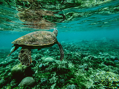 Incontro dedicato alle risorse degli abissi oceanici